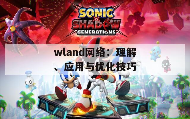 wland网络：理解、应用与优化技巧