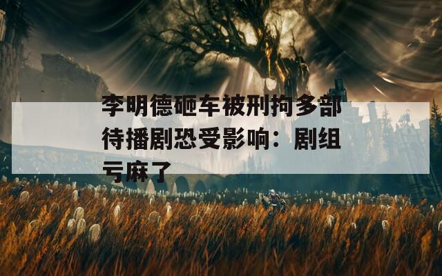 李明德砸车被刑拘多部待播剧恐受影响：剧组亏麻了