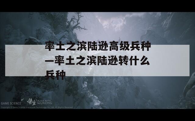 率土之滨陆逊高级兵种—率土之滨陆逊转什么兵种