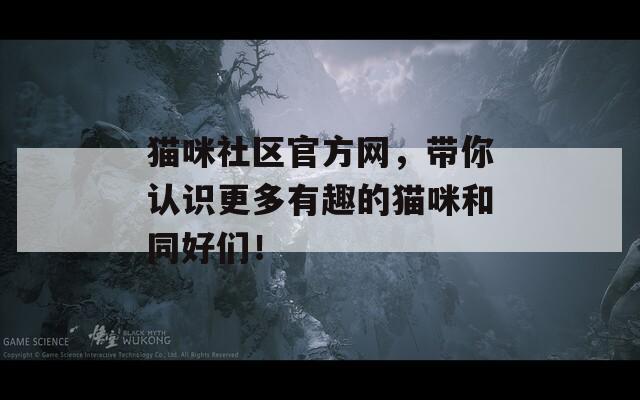 猫咪社区官方网，带你认识更多有趣的猫咪和同好们！