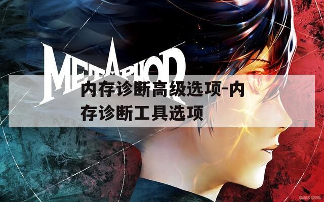 内存诊断高级选项-内存诊断工具选项