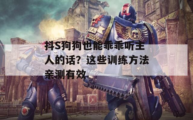 抖S狗狗也能乖乖听主人的话？这些训练方法亲测有效
