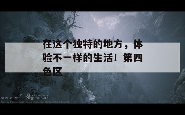 在这个独特的地方，体验不一样的生活！第四色区