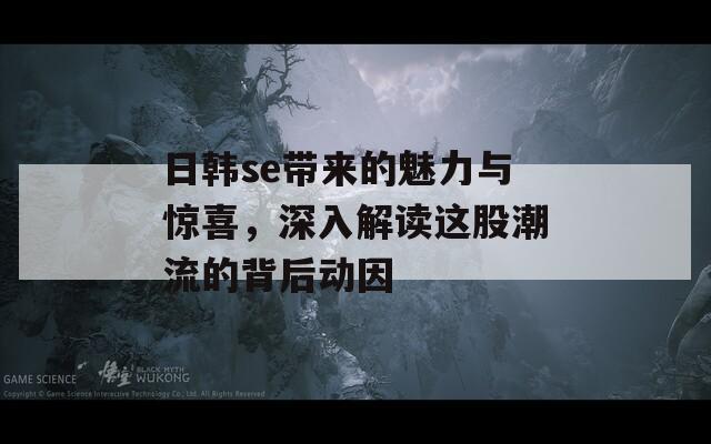 日韩se带来的魅力与惊喜，深入解读这股潮流的背后动因