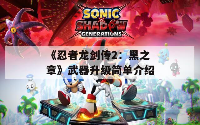 《忍者龙剑传2：黑之章》武器升级简单介绍