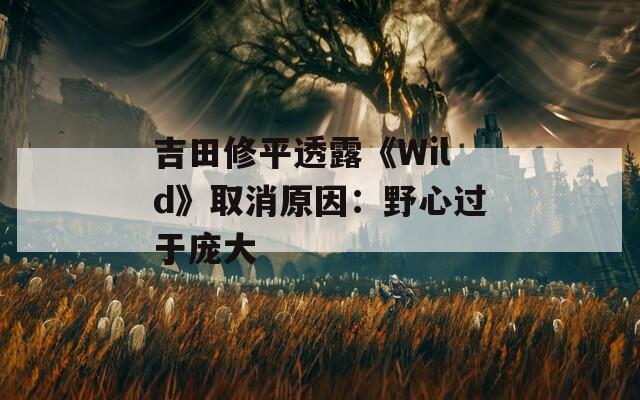吉田修平透露《Wild》取消原因：野心过于庞大