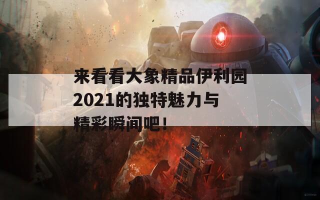 来看看大象精品伊利园2021的独特魅力与精彩瞬间吧！