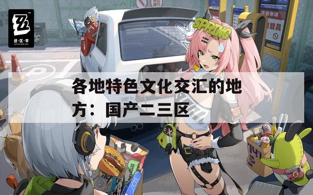 各地特色文化交汇的地方：国产二三区