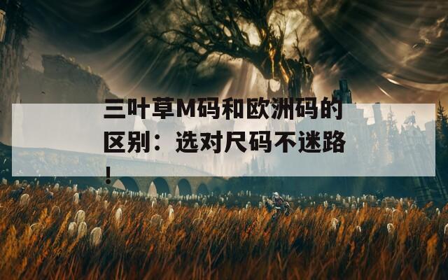 三叶草M码和欧洲码的区别：选对尺码不迷路！