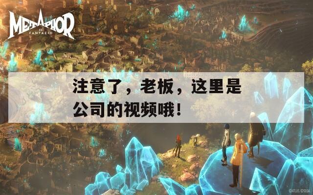 注意了，老板，这里是公司的视频哦！