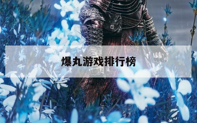 爆丸游戏排行榜