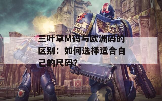 三叶草M码与欧洲码的区别：如何选择适合自己的尺码？