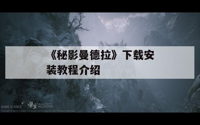 《秘影曼德拉》下载安装教程介绍