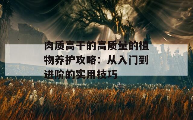 肉质高干的高质量的植物养护攻略：从入门到进阶的实用技巧