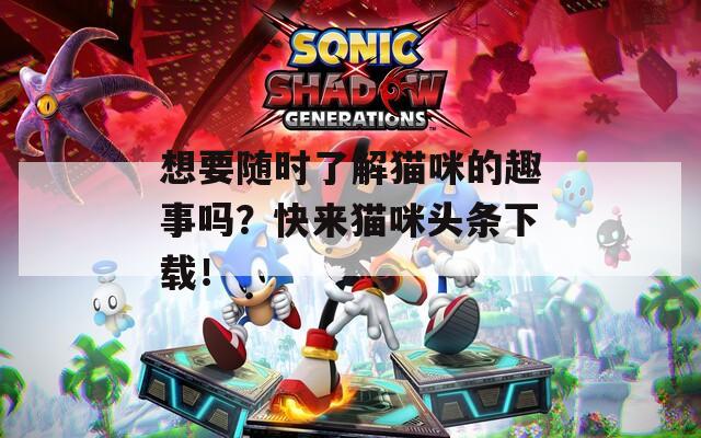 想要随时了解猫咪的趣事吗？快来猫咪头条下载！