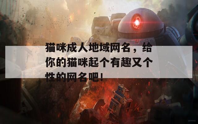 猫咪成人地域网名，给你的猫咪起个有趣又个性的网名吧！