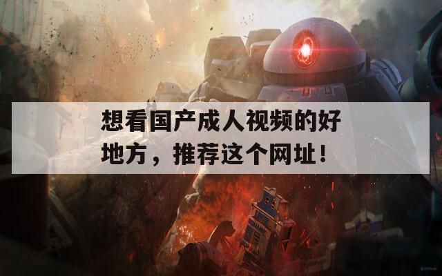 想看国产成人视频的好地方，推荐这个网址！