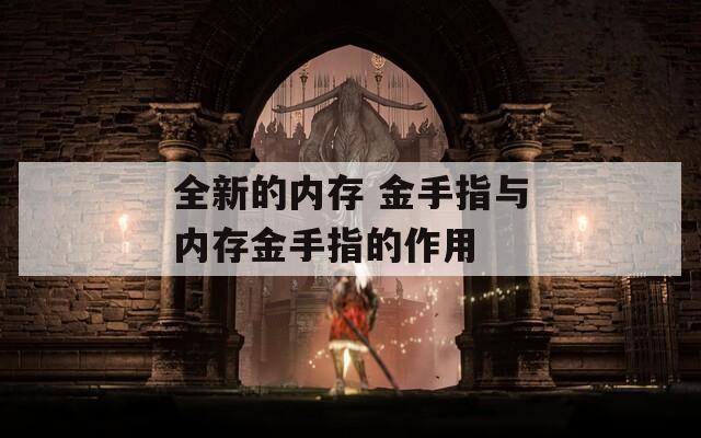 全新的内存 金手指与内存金手指的作用