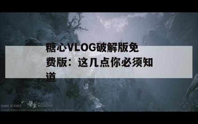 糖心VLOG破解版免费版：这几点你必须知道