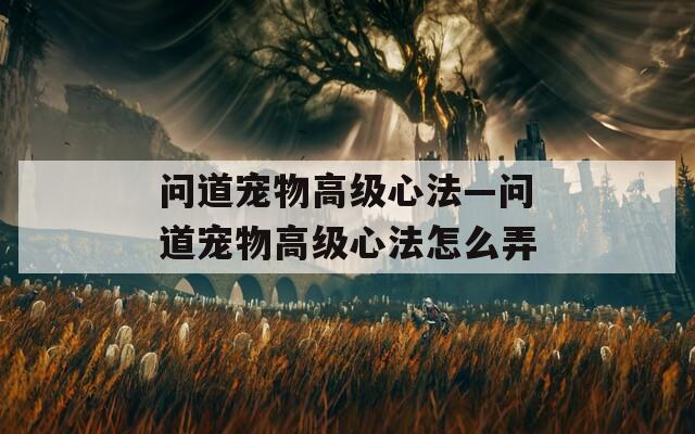 问道宠物高级心法—问道宠物高级心法怎么弄