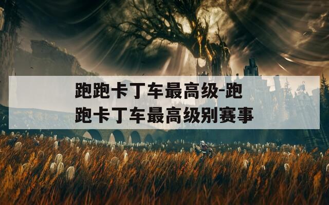 跑跑卡丁车最高级-跑跑卡丁车最高级别赛事