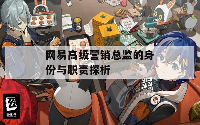 网易高级营销总监的身份与职责探析