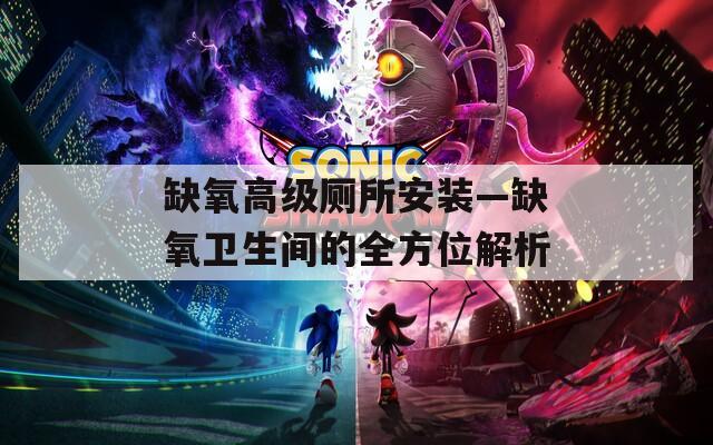 缺氧高级厕所安装—缺氧卫生间的全方位解析