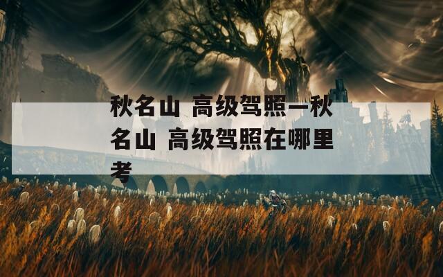秋名山 高级驾照—秋名山 高级驾照在哪里考