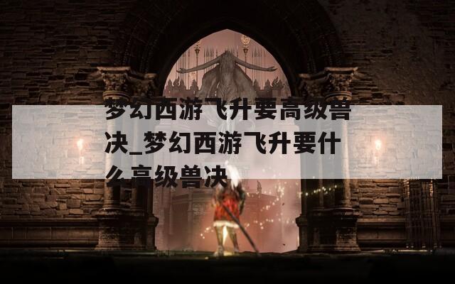 梦幻西游飞升要高级兽决_梦幻西游飞升要什么高级兽决