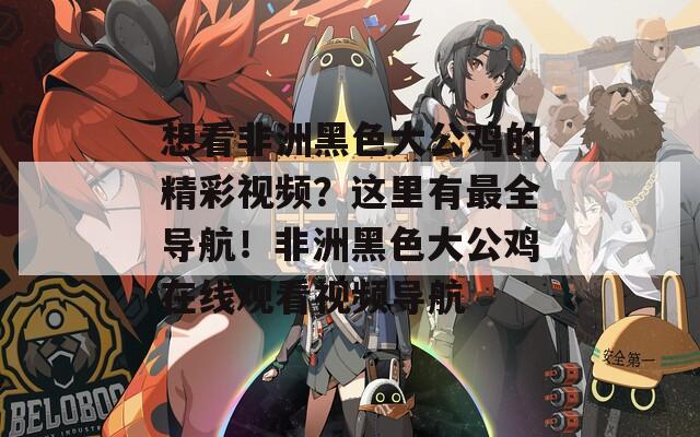 想看非洲黑色大公鸡的精彩视频？这里有最全导航！非洲黑色大公鸡在线观看视频导航