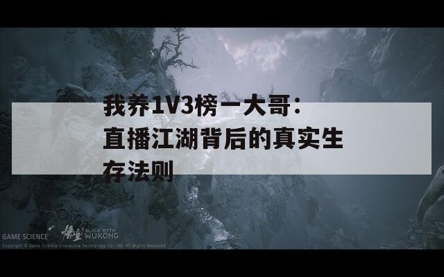 我养1V3榜一大哥：直播江湖背后的真实生存法则