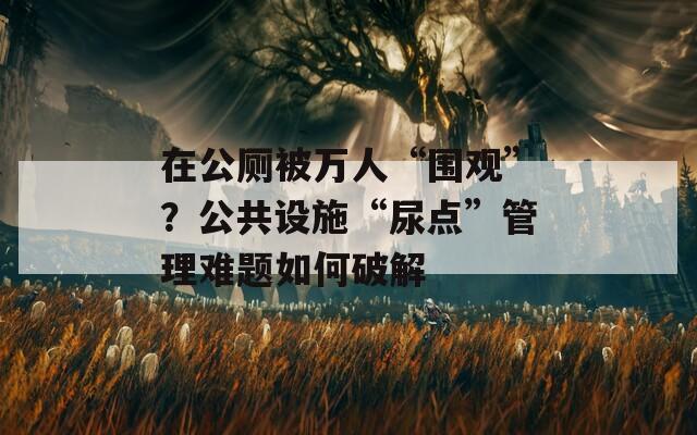 在公厕被万人“围观”？公共设施“尿点”管理难题如何破解