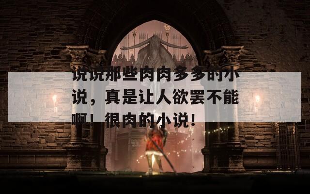 说说那些肉肉多多的小说，真是让人欲罢不能啊！很肉的小说！