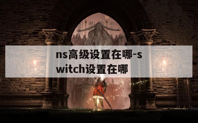 ns高级设置在哪-switch设置在哪