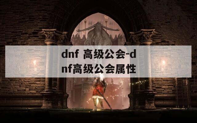 dnf 高级公会-dnf高级公会属性