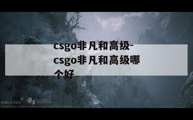 csgo非凡和高级-csgo非凡和高级哪个好
