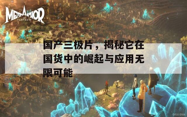 国产三极片，揭秘它在国货中的崛起与应用无限可能